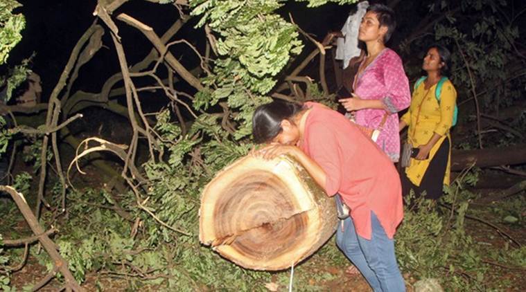 A woman reacts as she touches a tree after it was cut down in the Aarey Colony suburb of Mumbai